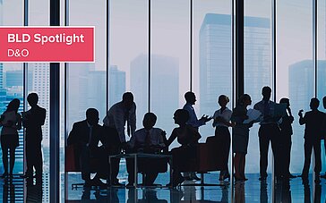 BLD Spotlight – Trend hin zu Direktprozessen gegen D&O-Versicherer