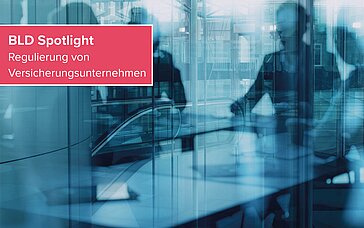 BLD Spotlight – Umsetzung der IRRD